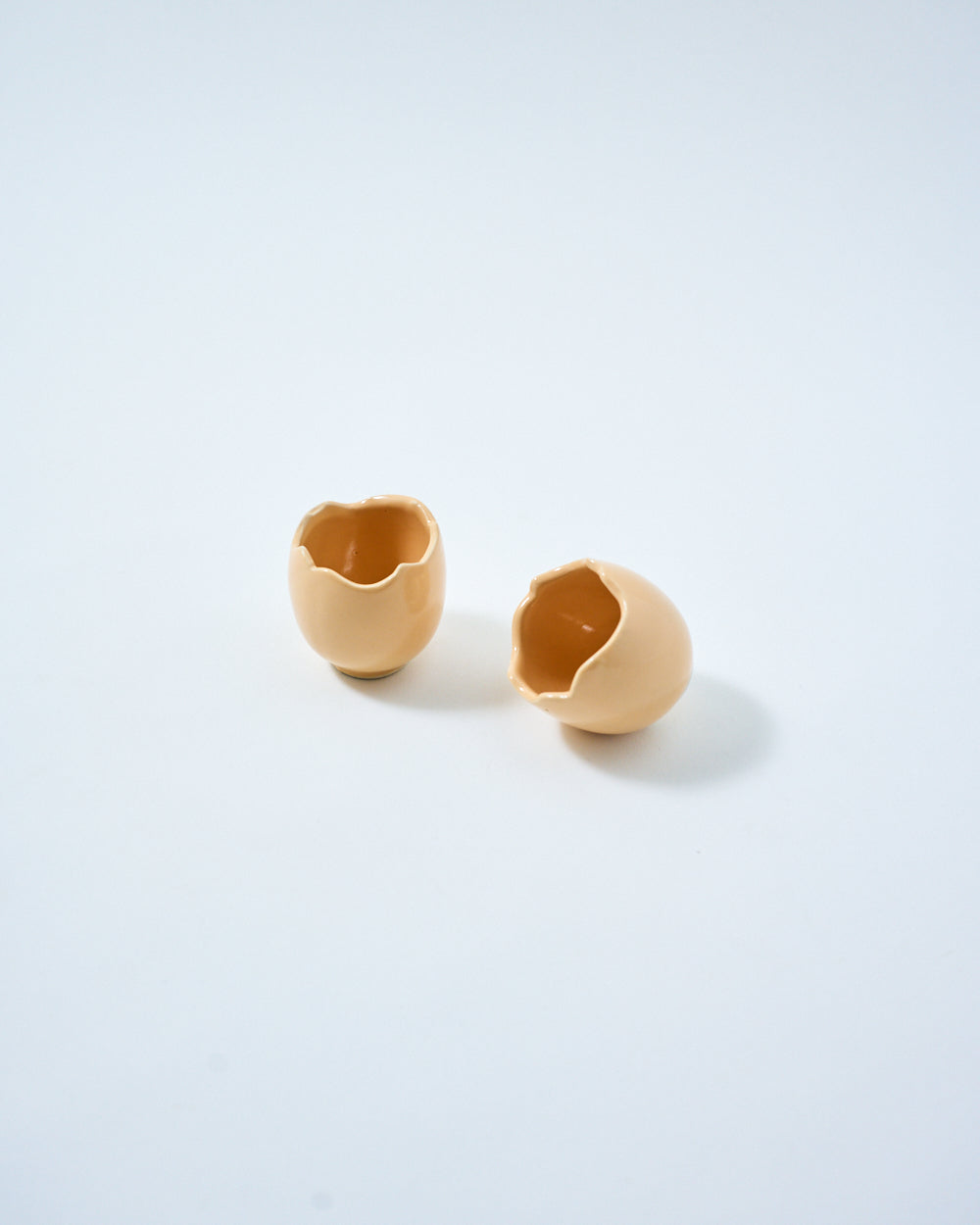 handcrafted shell shaped ceramic egg holder
