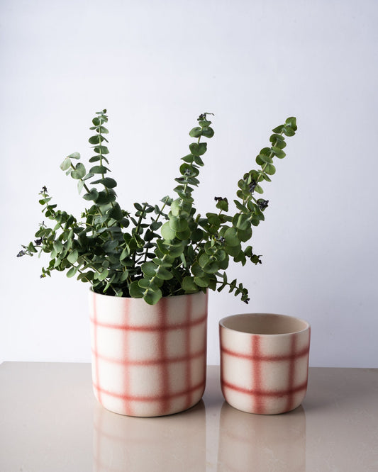 Chequered planter