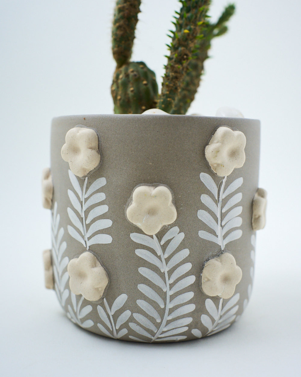 cactus pot small