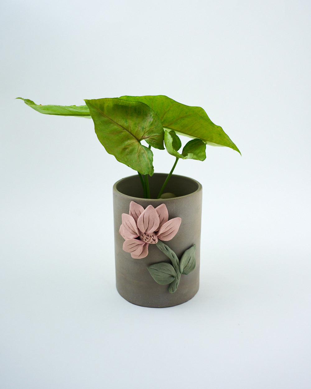 ceramic planter for indoor