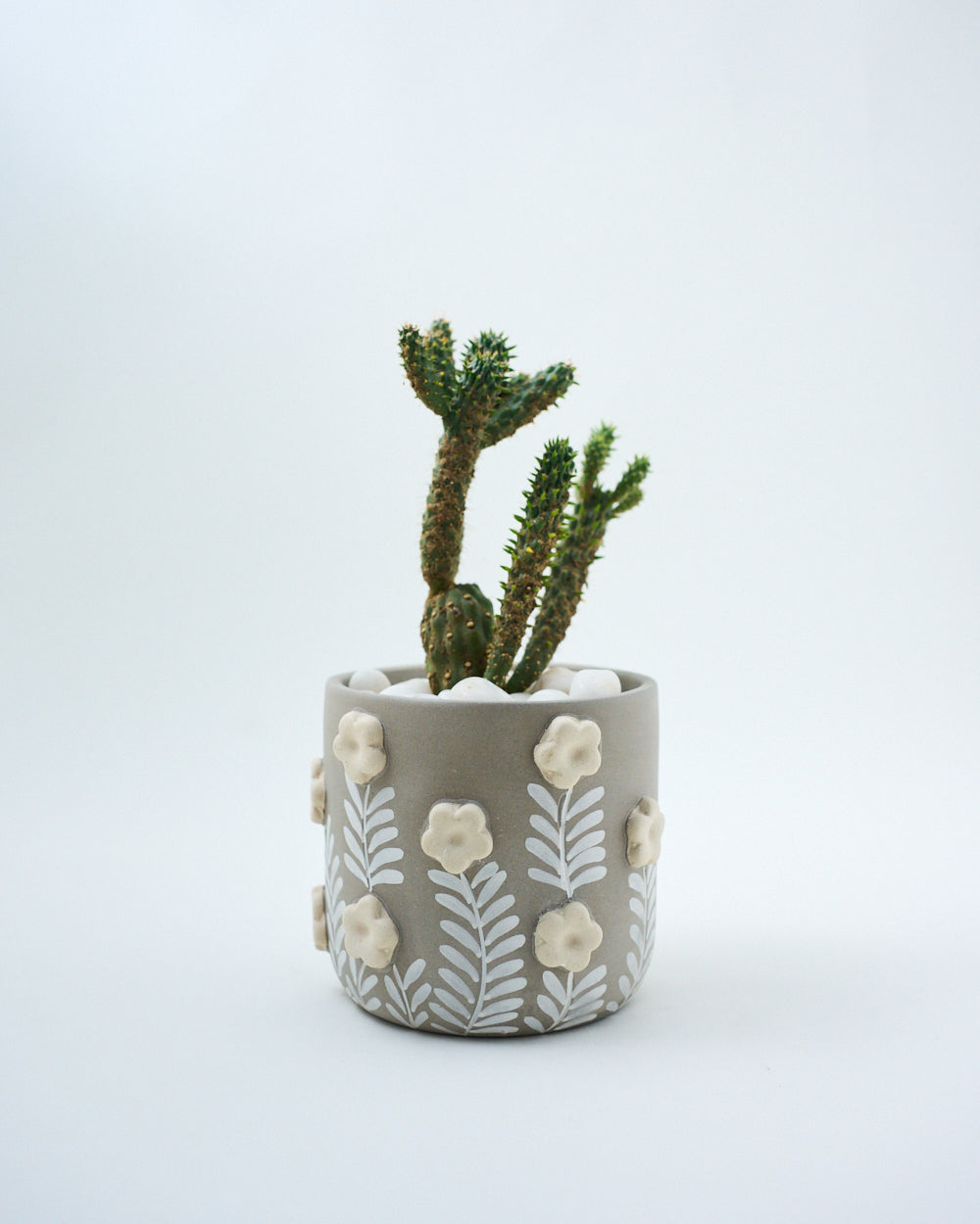 ceramic pot for indoor plants