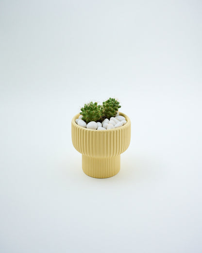 ceramic succulent planter tiny