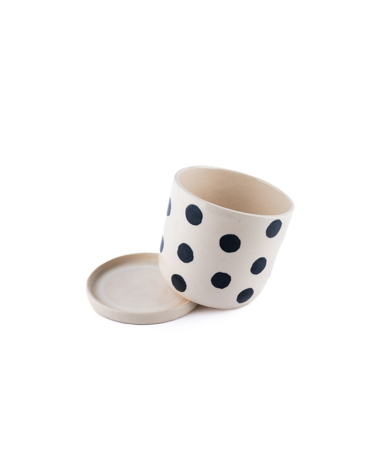 4inch polka dot planter