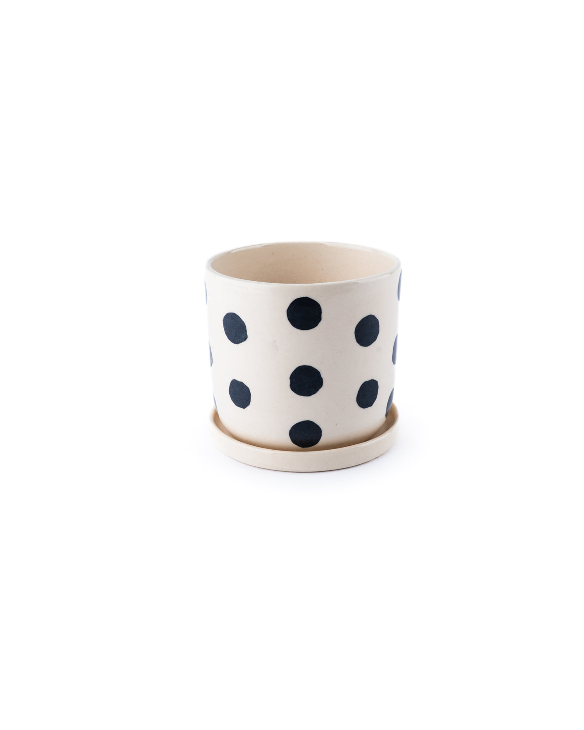 polka dot indoor planter