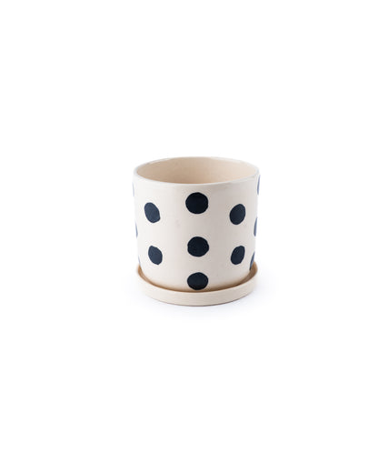 polka dot indoor planter